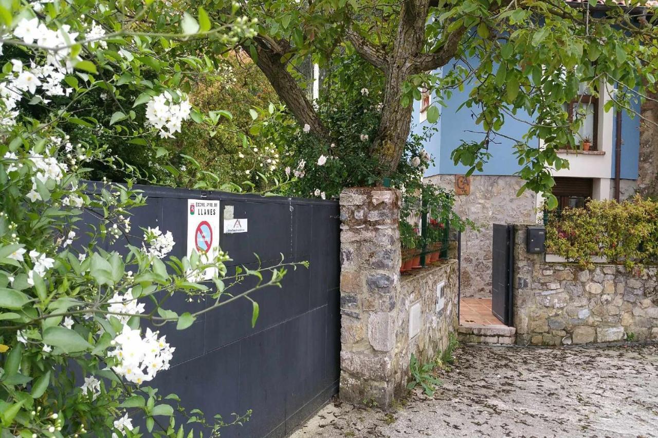 Casa De Aldea El Toral Pensionat Rales  Eksteriør billede